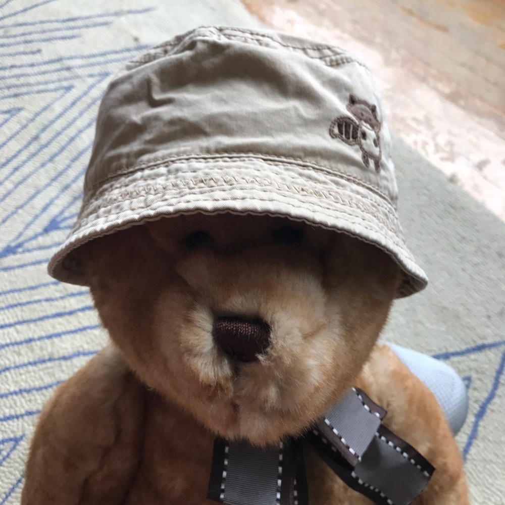 Children’s place toddler hat. embroidered raccoon